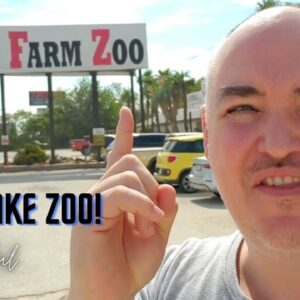Animal world & snake farm zoo   snake farm zoo new braunfels texas animals photos prices