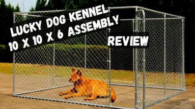 lucky dog kennel 10 x 10 x 6 Assembly - lucky dog kennel Assembly