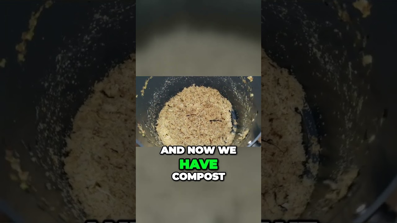 transforming-food-waste-into-nutrient-rich-compost-for-a-greener-world